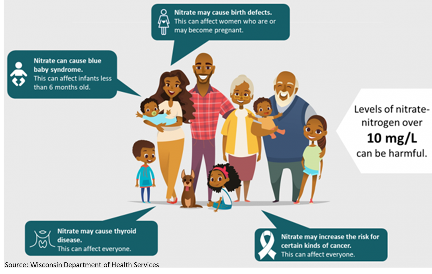 A diverse family group stands together with several informational callout boxes explaining health risks associated with nitrate exposure.
                                  The callouts describe that nitrate can cause blue baby syndrome in infants, may cause thyroid disease, may cause birth defects in pregnant women,
                                  and may increase the risk for certain cancers. A large label notes that nitrate-nitrogen levels over 10 mg/L can be harmful. Source: Wisconsin Department of Health Services.