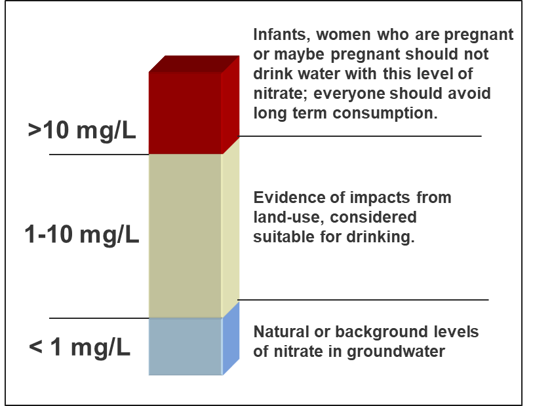A vertical bar graphic showing three nitrate‑nitrogen concentration ranges in groundwater. The bottom blue section labeled ‘< 1 mg/L’
                                  represents natural or background levels of nitrate. The middle tan section labeled ‘1–10 mg/L’ indicates evidence of land‑use impacts and is considered suitable for drinking.
                                  The top red section labeled ‘> 10 mg/L’ warns that infants and women who are pregnant or may become pregnant should not drink water with this level of nitrate, and that everyone should avoid long‑term consumption